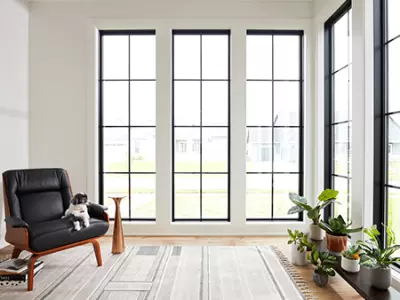 Pella Pella Lifestyle Fixed / Picture / Specialty Shapes