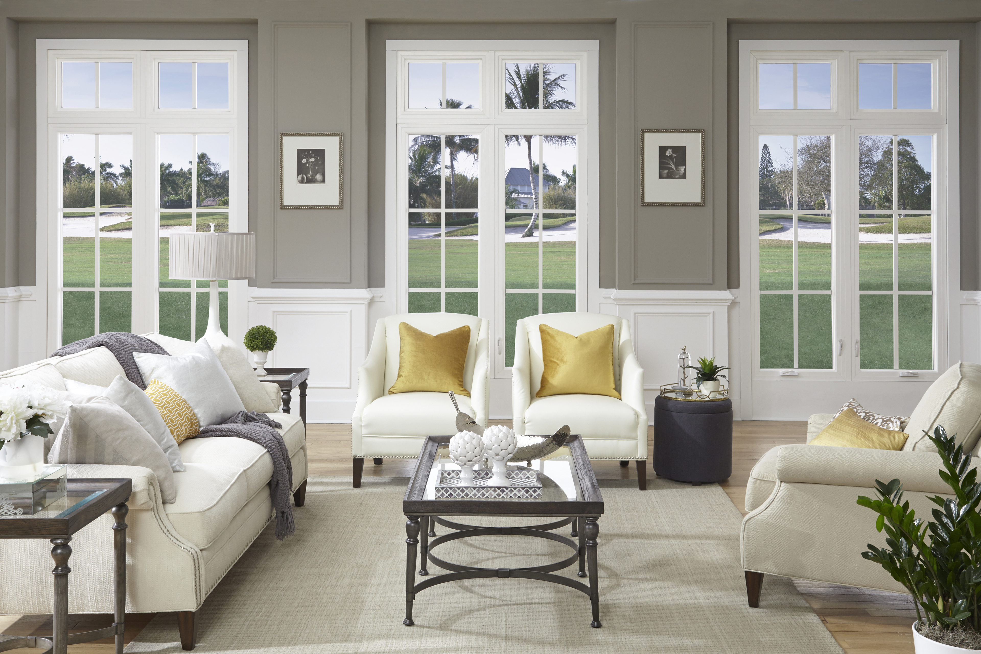 PGT EnergyVue Vinyl Picture PW5420