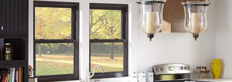 PGT EnergyVue Vinyl Double Hung DH5460