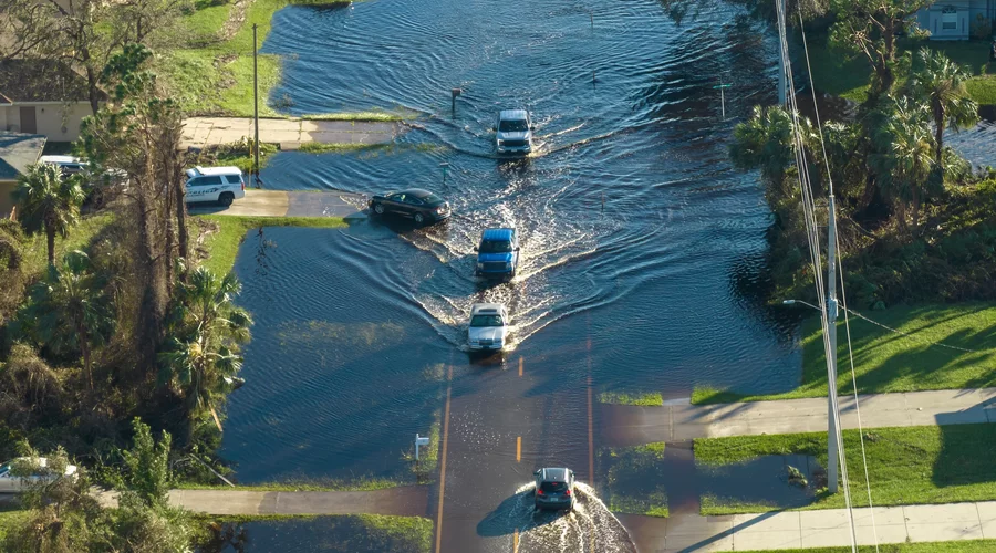 Should You Evacuate or Shelter in Place? A Florida Hurricane Decision Framework