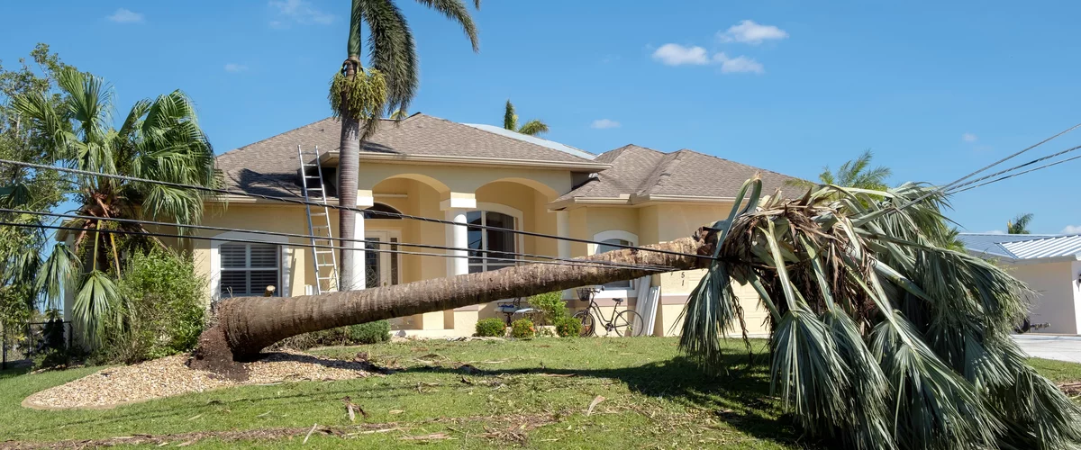 What Two Weeks Without Power Actually Feels Like in Florida: The storm is one day. The aftermath is the part you have to plan for.