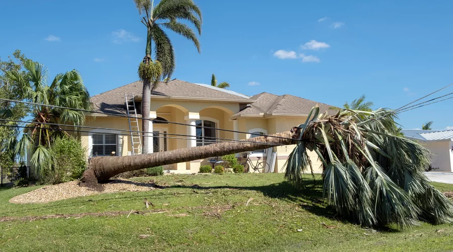 What Two Weeks Without Power Actually Feels Like in Florida