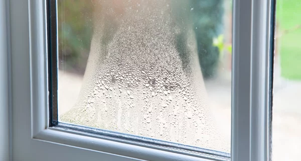Foggy Impact Windows