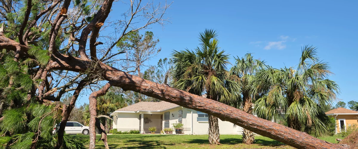 Window Damage After a Hurricane: A Florida Homeowner's First 72 Hours