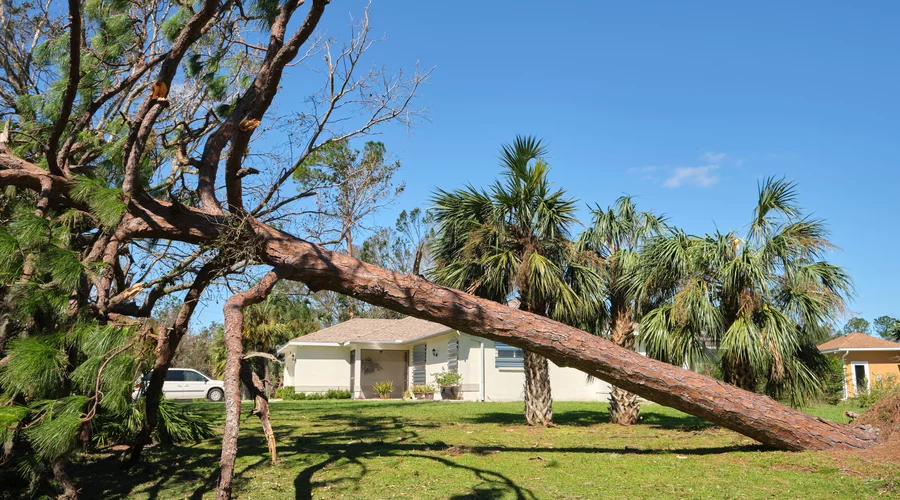 Window Damage After a Hurricane